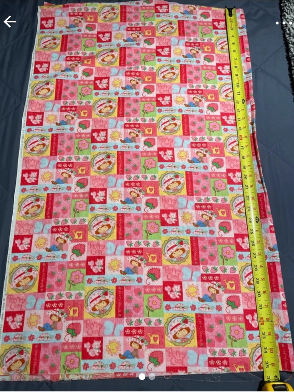 Vintage Strawberry Shortcake Fabric